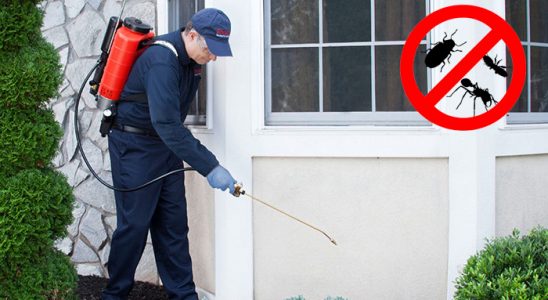 Şemdinli Kene İlaçlama böcek ilaçlama ve haşere kontrolü — ilaclama-tr.com